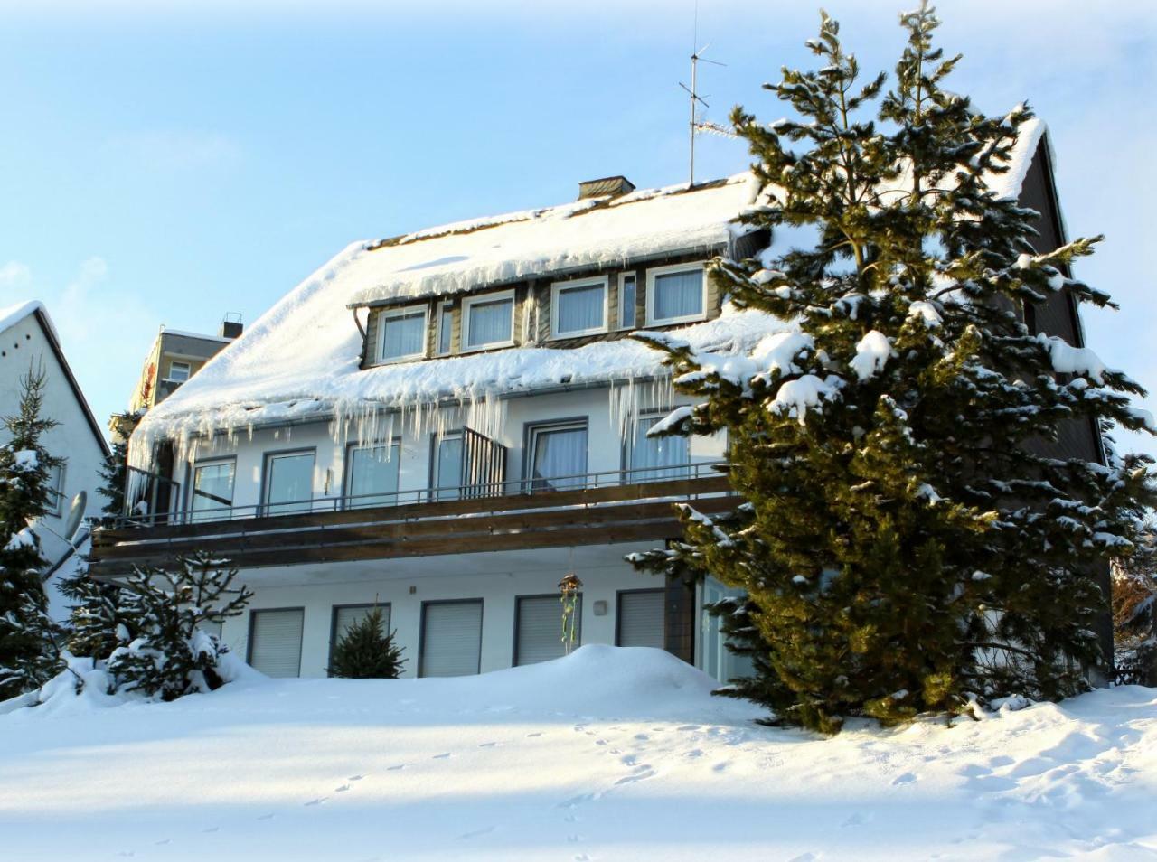 Komfort-Fewo Ettelsberg-Panorama Willingen  Room photo